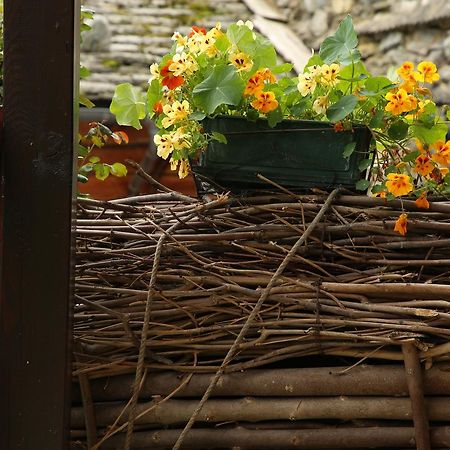 Residence Casa Dei Fiori 알라냐발세시아 외부 사진