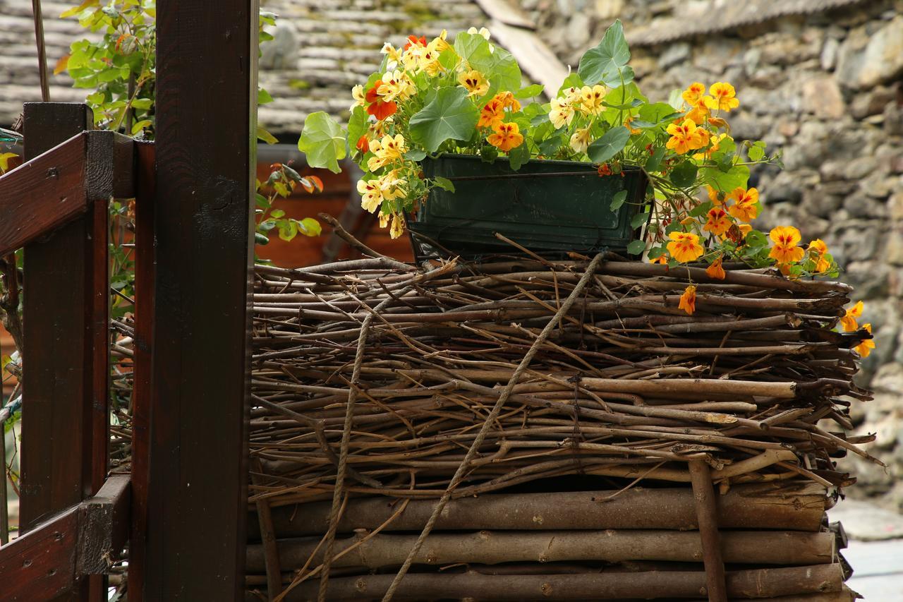 Residence Casa Dei Fiori 알라냐발세시아 외부 사진